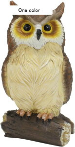 K[fjO  tNE K[fIuWF A  O̒u JCC  h ϋv |G AEghA   CeA i O̒̑ tNE one si