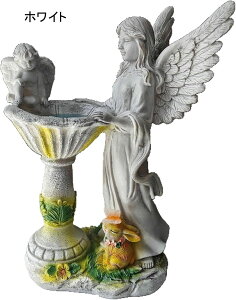 K[fjO VgK[fIuWF GWF K[fu \[[Cg 킢 I[ig  i h ϋv Jg[G   | CeA  o Ki zC