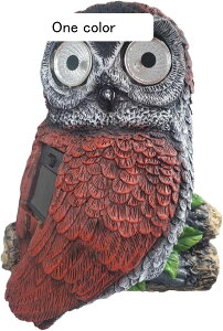 K[fI[ig tNE  K[f AEghA \[[Cg Ǌ| O̒u 킢  h O Jg[G   | A fR[V  Ǌ|