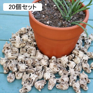 K[fjO ̍   K[f u ~͂̕~ 킢  I[ig ̏ ~jK[f h ϋv |pi CeA  x_ O 20Zbg