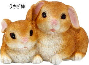 K[fjO  ETM^ K[fIuWF e K[fu 킢   I[ig  i h ϋv |G CeA ~jK[f i O̒̑ 