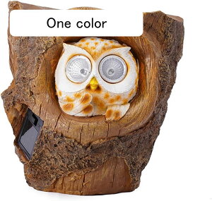 K[fjOG \[[Cg tNE  K[fu Ǌ| JCC b  I[ig  h ϋv |G |pi CeA   O fR[V  I