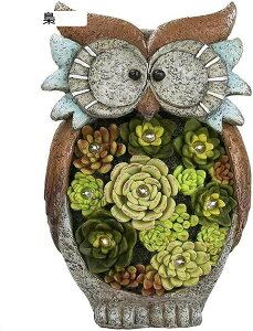 K[fI[ig \[[Cg tNEƑA K[f u  I[ig  h ϋv Jg[ CeAG H|i x_ 뉀 Op  15.5*1