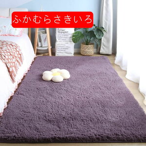 傫 `  ᔽ J[ybg zbgJ[ybgΉ VM[O 􂦂 200*250cm ~ O~ イ VM[ IWF ` g[ ~ N 160*60c