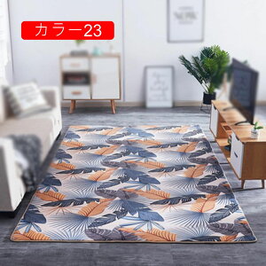 O J[ybg VM[O 1.6*2.3m ӂӂ O~ h O}bg т a_ rO}bg 3 4 5 g[Ή 􂦂郉O }bg ~ h~ ی}bg