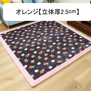 LbYJ[ybg  2.5cm J[ybg vC}bg q ~ ėp `FA}bg 100×200cm h ]|h~ h ی LbY[ ct ۈ牀 ̎q j̎q 