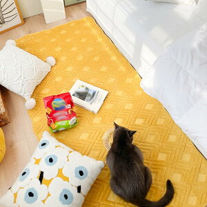 唻 􂦂郉O vC}bg xbhTChO IV ې n 唻 RpNg  J[ybg 70*150cm h _炩  G悢 rO[ ƒp Vzj z