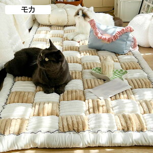 RbgLg O}bg LeBO  LgO ` g[Ή vC}bg ~ 􂦂 pb`[N 100 J[ybg Lg ԕ 킢 xbhTCh h_j 70