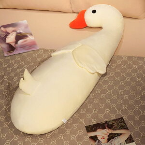 ^ Q ONbV _bN ܂ jR[  }^jeB ʂ 킢   @\Iu DP Q {X^[ ӂӂ 傫TCY O