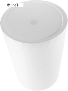 lWtS~ 󂩂 XȃS~ DoPc S~ReioXPbg gC  AEghA ȃS~ [{bNX ItBX vX`bN