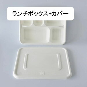 𐫂ŊɗD ȎĝăTgELrM p^ٓ eCNAEg{bNX (zCg*50 ٓ)