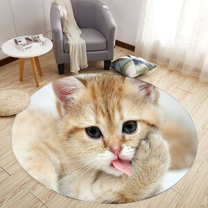 ~`}bg J[ybg a60cm 􂦂 I[V[Y ^ L 3D 킢 ϖՐ RۖhL ɂ ۂO~ z h h_j ~ߕt ی [΍ ی^ O}bg x