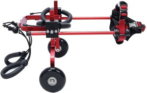 ߉\ȌpԈ֎qA^^^pybgpԈ֎qA㑫nre[VA㑫ppJ[g (F : ԁATCY : 01) ( 3)