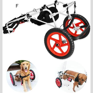 2֌pԈ֎qA߉\ȑSgT|[gpxr[J[A^p㎈nre[ViLAXLj