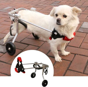 ^璆^̌ƔLp̒߉\2փybgpԈ֎qA둫̃nre[Vp̃XeXX`[t[AQ̂ybgT|[g