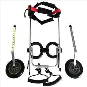 pybgpԈ֎qApԈ֎qA둫⏕sAnre[VAQҗp 2 փybg/pJ[gApybgpxr[J[ (Xsw)