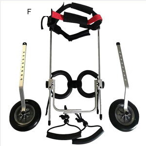 pybgpԈ֎qApԈ֎qA둫⏕sAnre[VAQҗp 2 փybg/pJ[gApybgpxr[J[ (Xsw)