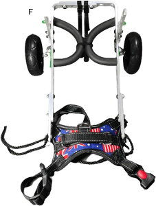 ^ybgpԈ֎q vtFbViA~pԈ֎q 2̐Âȃ^C p nre[V GNTTCYJ[g