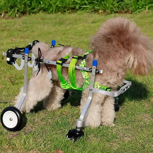 pԈ֎q LpԈ֎q Oւƌ֕t 4֌pԈ֎q ^^p Kȃybgp nre[VJ[g (TCY: MTCY)