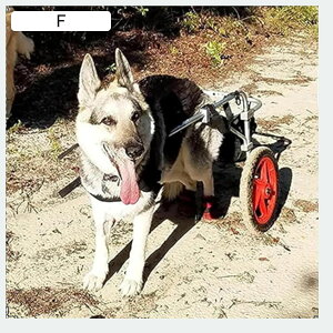 ybgpԈ֎q 둫nre[VpԈ֎q ^p둫pԈ֎q ybg̕s܂ (TCY: LAXL)