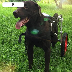 p]ԃg[[ _炩ĉKȌ둫̃nre[V y 2 ANeBu ߉\ȌpԈ֎q ybgp ^p (TCY: LAXL)