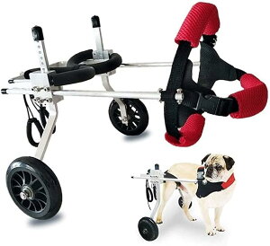 pԈ֎qA^pGNTTCYzC[A둫nre[VA둫p߉\pzC[A5TCY (TCY : 2X-Small) (S)