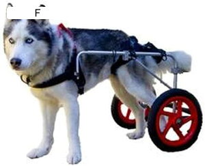 ^ybgpԈ֎qA^ɍœKA^p둫Ԉ֎qApԈ֎qszC[ApԈ֎q둫nre[ViTCYFLAXLj