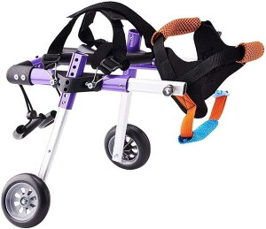 ^pԈ֎q 둫p ybgpԈ֎q qbv 20-50cm 둫nre[V p둫pbOu[X (TCY : Small) (Xs)