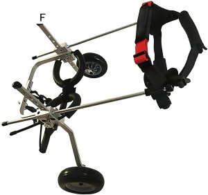 pԈ֎qA^/^/^pspzC[A̋rpu[XArnre[VAp^pzC[ (TCY: ) (L)