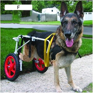 ^ybgpԈ֎q spzC[ wvAbvn[lX ^pzC[ 둫p ^pybgԈ֎q ybgJ[g pԈ֎q 둫nre[V (TCY : X-Large 2)