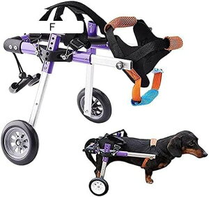 pԈ֎q 둫J[g ^^pԈ֎q Q̂둫̃nre[V ⏕s ߉\ȃqbvT|[gn[lX S (S)