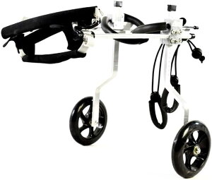 ^ppԈ֎qApԗ֌㑫nre[VAQ̂㑫L/q̎UpybgJ[gԈ֎qXeXX`[ (F : zCgATCY : 01) (zCg 2)