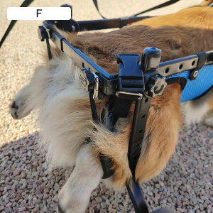 pԈ֎q g̏QҗppԈ֎qAybg⏕sA^\͂ꂽ̂߂̌㑫nre[VybgJ[gAƂꂪȒP (TCY: M TCY)