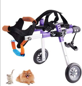 pybgpԈ֎qA2֌pԈ֎qA߉\XeXX`[J[gALpԈ֎qAQ̂ybgp둫nre[VA^ppybgpxr[J[pTCY