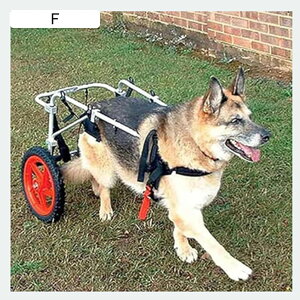 oCNg[[ _炩ĉKȌ둫nre[V y 2 ANeBu ߉\ pԈ֎q ybg  L ETMp (TCY: LAXL)