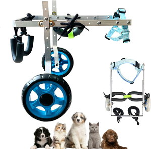 pGNTTCYpԈ֎qJ[g ߉\AჂ㎈pybgpԈ֎q⏕sAL/ETMpԈ֎qnre[VJ[ (TCY: XS Ch)