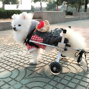 pybgpԈ֎q pԈ֎q 4֌㕔T|[g yʎԈ֎q LpJ[g st[ ԗ֕t قƂǂ̌p 0-50 Kg (M)