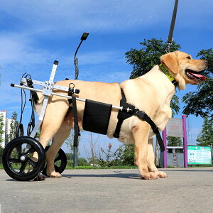 pԈ֎q Qҗp ^/^pԈ֎q p ^nre[VJ[g ^ybg̕⏕ ps 둫T|[g (TCY : L TCY)