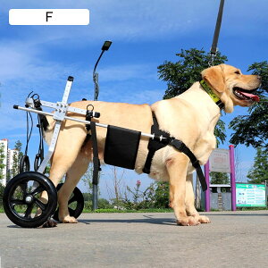 pԈ֎q Qҗp ^/^pԈ֎q p ^nre[VJ[g ^ybg̕⏕ ps 둫T|[g (TCY : L TCY)