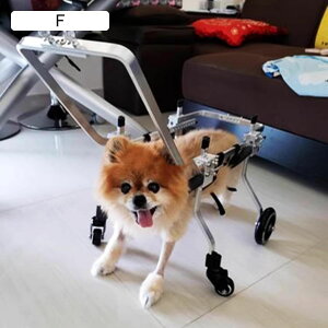 pԈ֎q ybgnre[VԈ֎qJ[g ^ybg̈ړ񕜂⏕ nhtpԈ֎q 둫/Opru[X (TCY : M TCY)