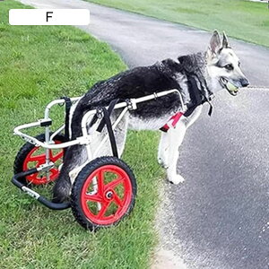 ߉\Ȍp㑫pԈ֎qA^p⏕sAԗ֕tAybgnre[V@Apړpxr[J[⏕@