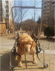 pԈ֎qtT|[gA^pԈ֎qǍrpbOu[XAspԗցAVpԈ֎qrnre[ViXXj