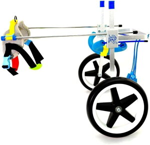 ^ybgppԈ֎q 3.3-110 |h b㏳Fς 둫pԈ֎q ߉\Ԉ֎q Q̂錢p㑫nre[V 2  (TCY : Xs) (M)