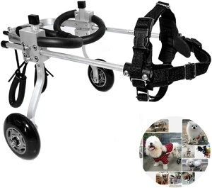 pybgpԈ֎q pԈ֎q - b㏳Fς݁A둫pԈ֎qAybg/LppԈ֎q Q̂錢p둫nre[V (Xx)