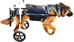 ^pԈ֎q 둫p ߉\T|[g ^ybgpԈ֎q nre[V 2 pԗ 15`30kǧp (A XL)