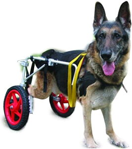 pԈ֎q ߉\ȃybgpԈ֎q 2  LpJ[g QҗpybgpԈ֎q rnrp (L-XL 22-45kg)