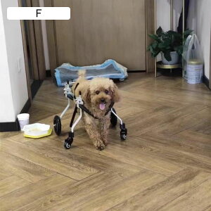 A~ybgpԈ֎q ߉\ȌpJ[g ⏕nrpԈ֎q pprԈ֎q