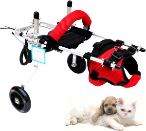 ֌pԈ֎qAybgpԈ֎qA߉\Ȑg̏QҗpL㎈⏕A^pԗ֕⏕AqLюqpybgJ[gs⏕ (Size : M)