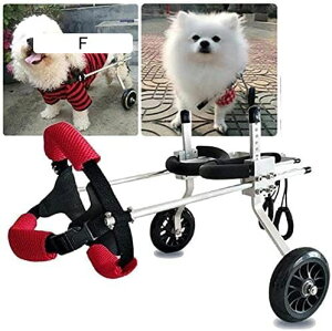 pybgpԈ֎qApԈ֎q 둫 㑫 ⏕ybgpԈ֎q ߉\ XeX nr QҗppJ[g pybgpxr[J[