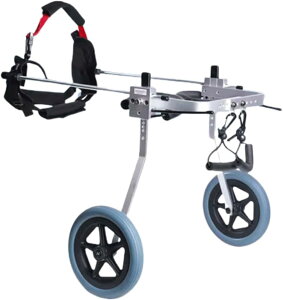 oCybgԈ֎q A~2֌pJ[g ߉\ȌpԈ֎q 㑫nrg[jO ybgpԈ֎q